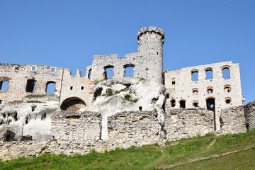 Ruiny zamku w Ogrodzieńcu © shake_pl