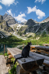Dolina Kežmarskej Bielej vody, Kezmarska Valley, View on Lomnica © grzegorz_pakula