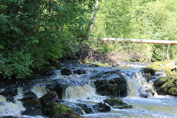 Obraz premium Słońce od świtu wschodzi nad rzeką.