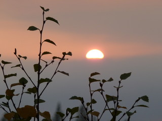 Romantic mood at sunset.