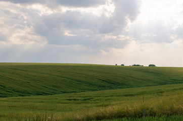Landscape view of green fields and clouds in the summer season