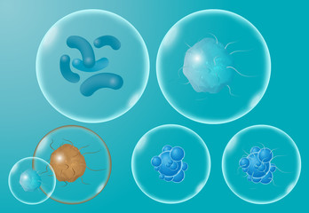 Realistic microscopic viruses and bacteria isolated vector set. Bacterium and microorganism illustration