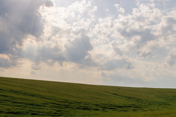 Landscape view of green fields and clouds in the summer season
