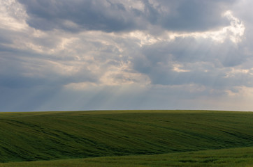 Landscape view of green fields and clouds in the summer season