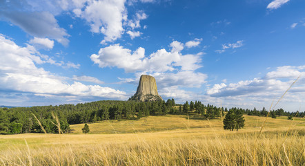 Devils Tower National Monumenton sunny day ,wyoming,usa.