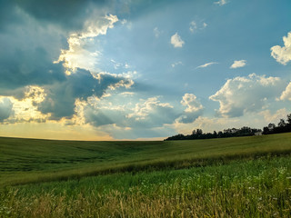 Landscape view of green fields and clouds in the summer season