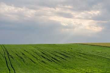 Landscape view of green fields and clouds in the summer season