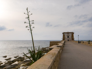 Fototapeta na wymiar Trapani Sicily Italy - View of the old town and Tower Ligny during a cloudy day.