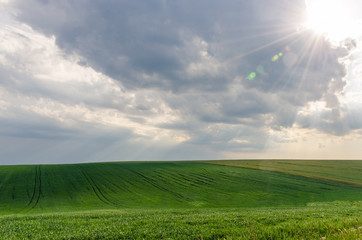 Landscape view of green fields and clouds in the summer season