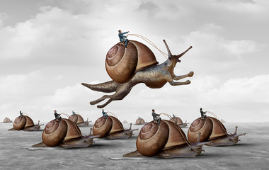 Leadership And Management