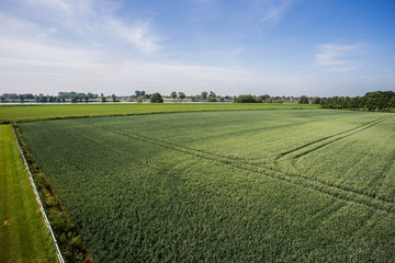 Aerial view of agricultural fields in the Netherlands