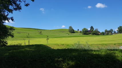 Gr&uuml;ne H&uuml;gel unter blauem Himmel