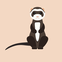 Gray ferret in full growth sits. Vector flat design illustration.