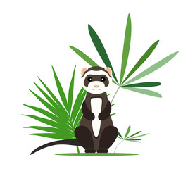 Gray ferret in full growth sits in tropical leaves. Vector illustration.