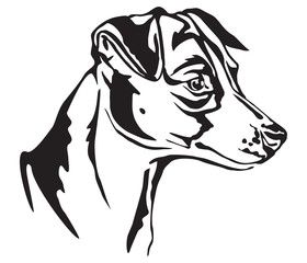 Decorative portrait of Jack Russell Terrier vector illustration