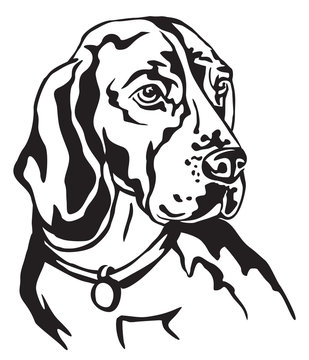 Decorative portrait of Beagle vector illustration