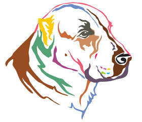 Colorful decorative portrait of Central Asian Shepherd Dog vector illustration