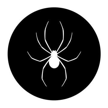 circle spider icon