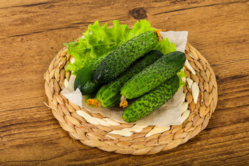 Green cucumbers