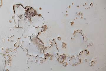 Blown plaster. Old wall damaged plastering in need of builder repair