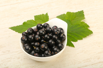 Ripe black currants