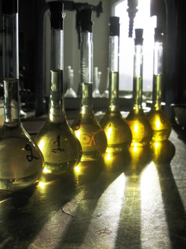 A raw of measuring flasks filled with yellow liquid and closed with rubber plugs. Old-stile chemical lab interior. The golden light shines in the flasks and reflects on a table surface. Still-life.