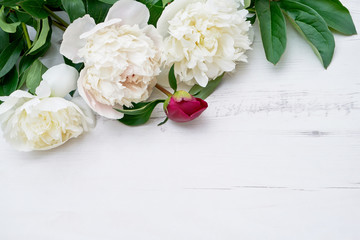 White peonies on white wooden background. Copy space, top view. Holiday background. Greeting card