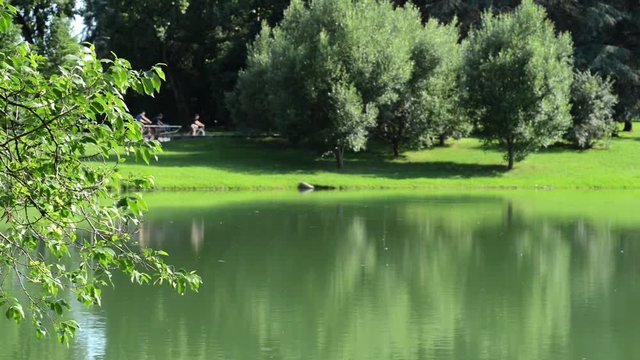 in bicicletta sulle rive del lago in una bella giornata di sole