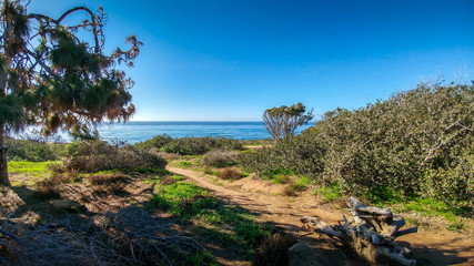 Sunset Cliffs Natural Preserve