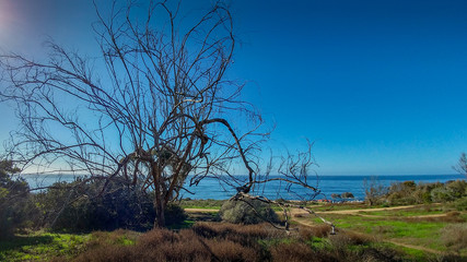 Obraz premium Sunset Cliffs Natural Preserve