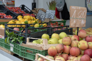 vegetables sold in farmer's market