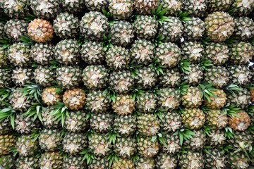 Large stack of fresh ripe Colombian pineapples, with rows and patterns, Colombia, South America