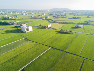 Fototapeta na wymiar Aerial view of the beautiful rice field around Yuanli