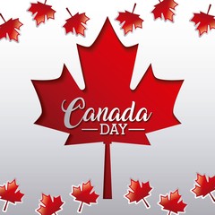 independence canada day many autumn leaves celebration date vector illustration