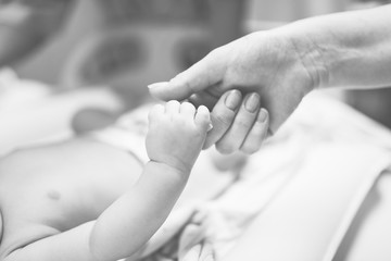 Newborn baby holding mother's hand with love