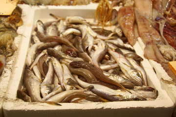 Small fresh fish in the covered market