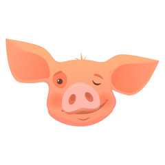 head of pink pig