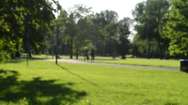 un pomeriggio al parco in una bella giornata di sole