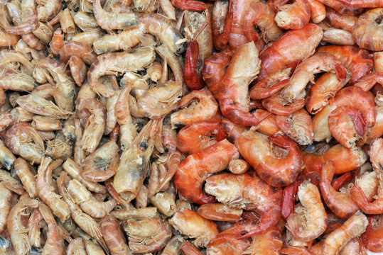 Dry shrimp, ingredient of Brazilian dishes