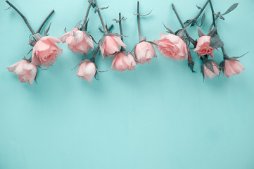 row of pink roses on a mint background
