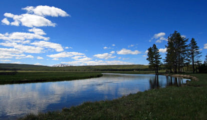 Gibbon River streaming through Gibbon Meadows in Yellowstone National Park in Wyoming United States