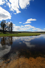 Obraz premium Gibbon River reflecting clouds in Gibbon Meadows in Yellowstone National Park in Wyoming United States