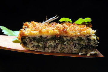 Engraulis encrasicolus Tortino di alici European anchovy Европейский анчоус 