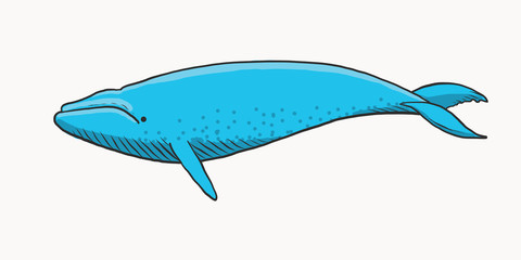 Blue whale cartoon