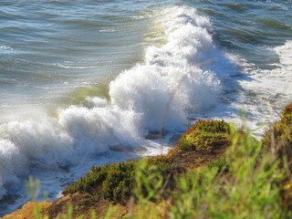 Fototapeta na wymiar Large Pacific Ocean Waves Rumbling Into Foliage Covered Shore