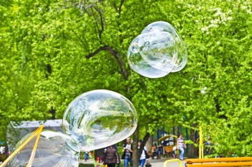 Flight of soap bubbles in the park. They are up in the air.