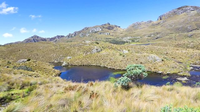 panoramic view of the Cajas park in a sunny day Ecuador
