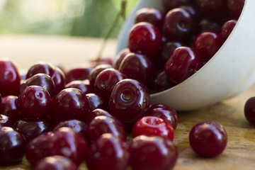 Cherry. Many cherry berries