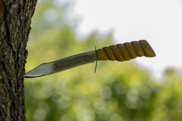 Big sharp knife sticks out in the tree