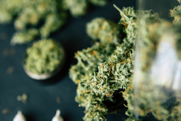 buds marijuana with trichomes and crushed weed on a black table insta close up weed Macro of...